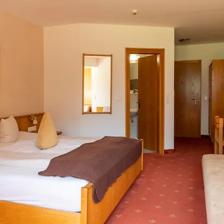 Alpine Including Summercard Hotell