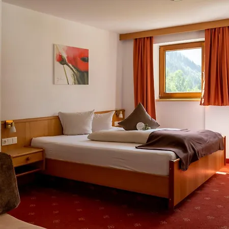 Hotel Alpine Including Summercard Plangeross